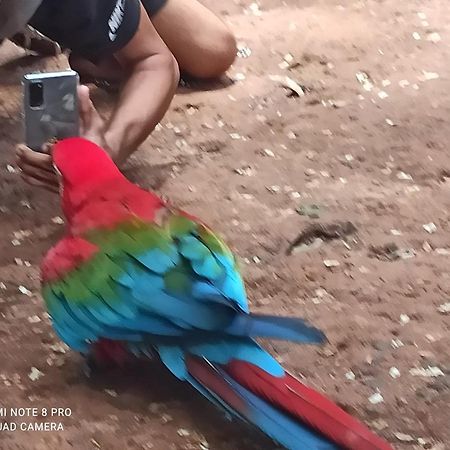 Pousada Bom Sono Foz do Iguaçu Exterior foto