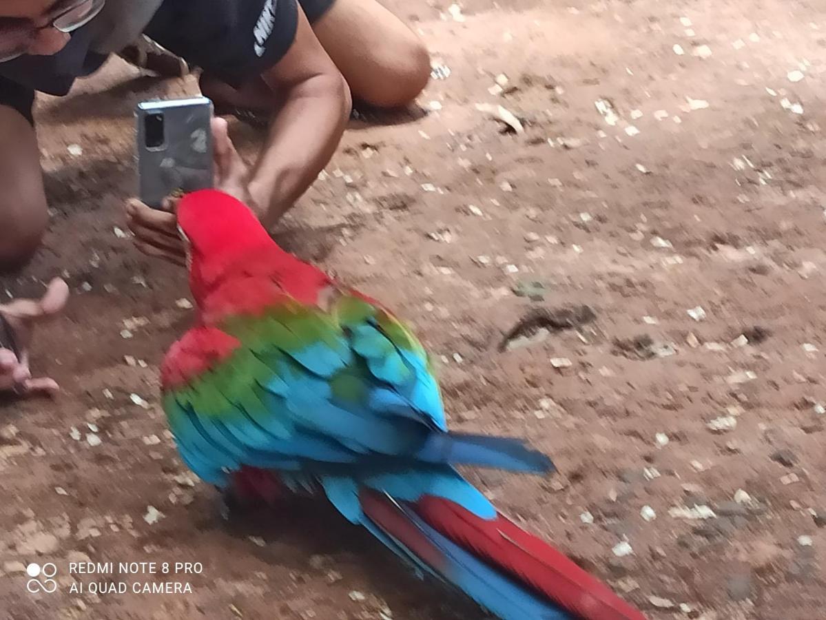 Pousada Bom Sono Foz do Iguaçu Exterior foto
